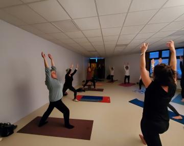 cours yoga viniyoga polyedre seynod annecy