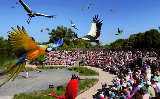 parc des oiseaux