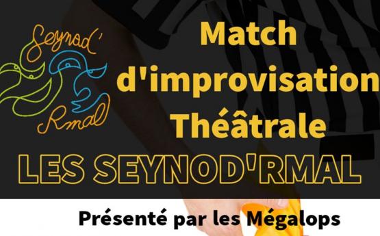 match d'improvisation polyedre seynod