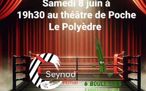 match d'improvisation polyedre seynod