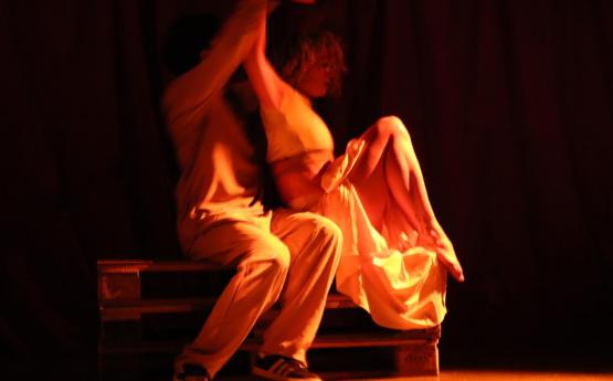 spectacle danse compagnie 3 polyèdre seynod