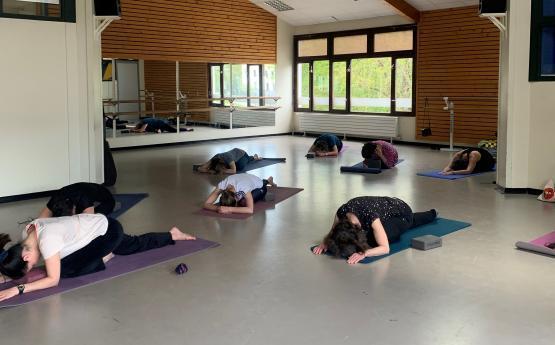personnes sur tapis position yoga polyèdre seynod annecy