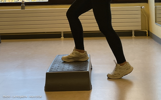 femme qui fait du step polyèdre seynod annecy