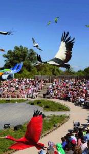 parc des oiseaux