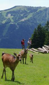 parc de merlet sortie famille polyedre seynod