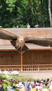 sortie famille parc animalier les aigles du léman polyèdre seynod annecy