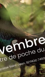 affiche film GUMS polyèdre seynod annecy