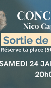concert nicolas capony polyèdre seynod annecy