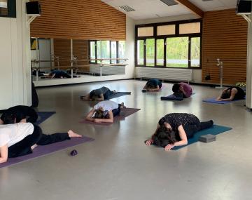 cours yin yang yoga polyèdre seynod annecy